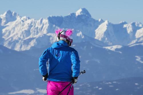 Alpe-adria Apartments