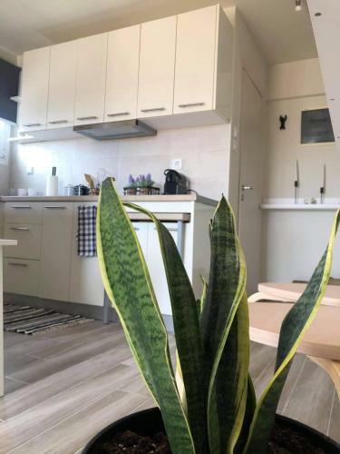 Apartamento Meni Sweet Central Studio