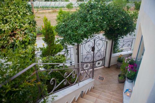 Villa Dina's House