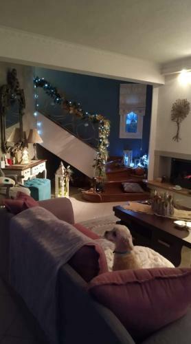 Villa Dina's House