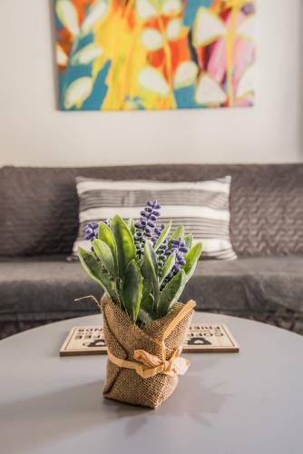 Apartamento Freesia #colony_urban_apartment