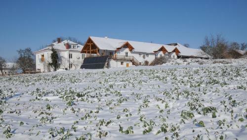 Apartamento Geinberg Suites
