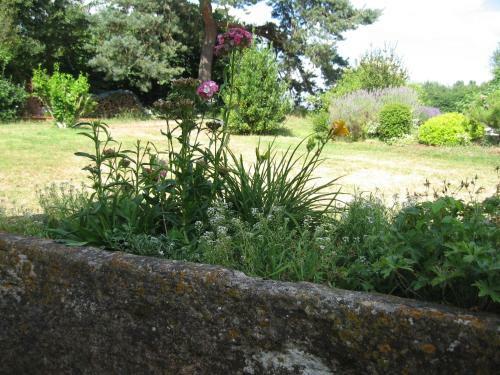 Hostal La Dor�pontaise