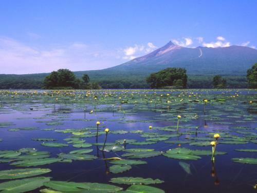 Minami Hokkaido Shikabe Royal Hotel