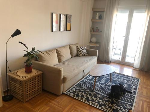 Apartamento Dogu 2