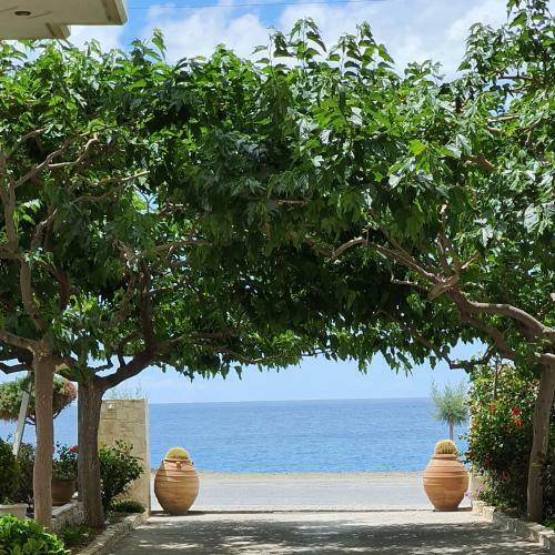 Apartamento Eirini Apts On The Beach