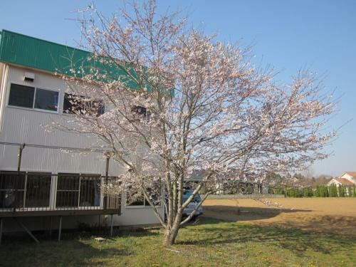 Bed & Breakfast Narita Airport Hostel