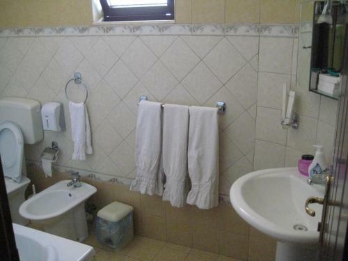 Drini Hotel