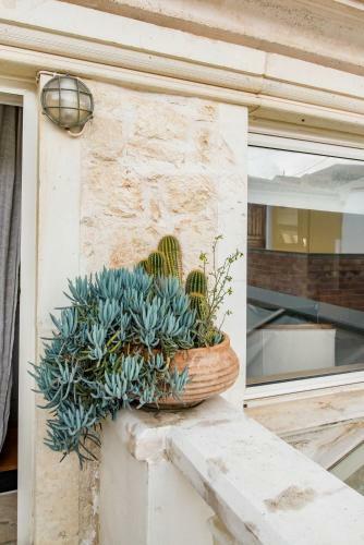Villa Minimalist Stone Country House