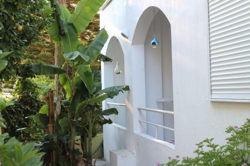 Carolina Apartments Crete