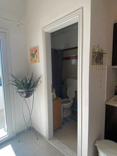 Apartamento Angie's House