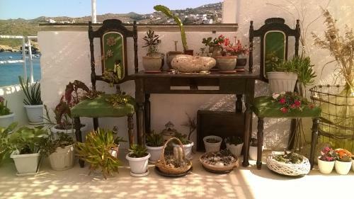 Apartamento Komissa?s Beach House