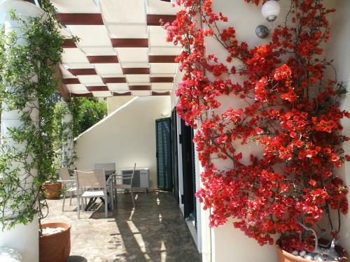 Elysium Apartments Corfu