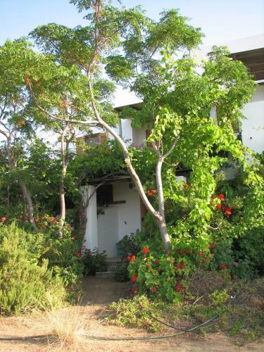 Apartamento Askella