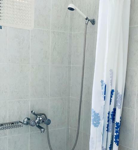 Hostal Peacock Studios