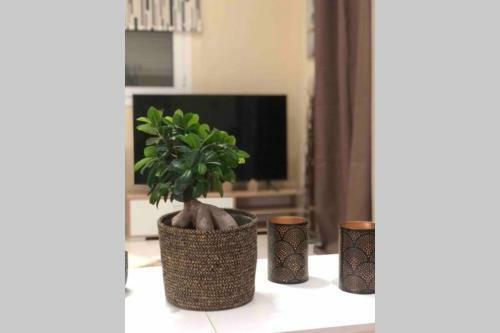 Apartamento La Casa Di Corina