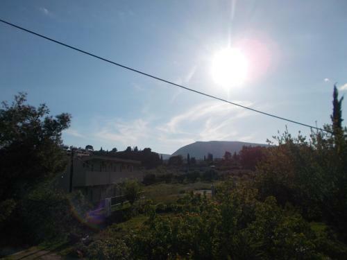 Summer Holidays In Laganas Apartments