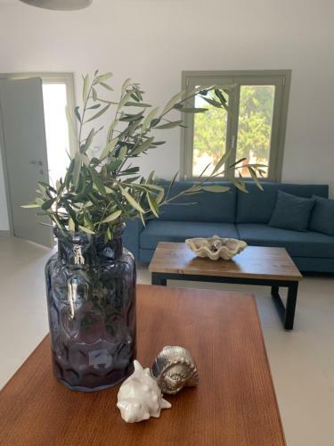 Apartamento Chrisantakis Appartments