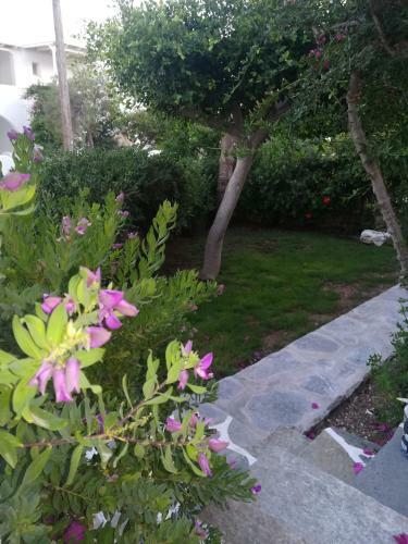 Apartamento Sundeck