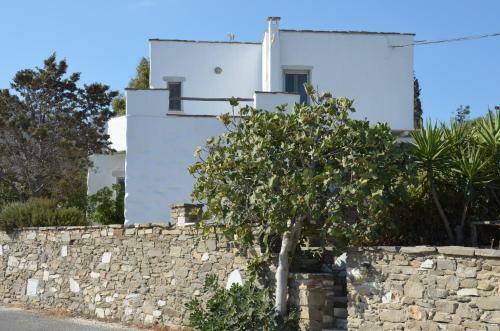 Paros Traditional Country House