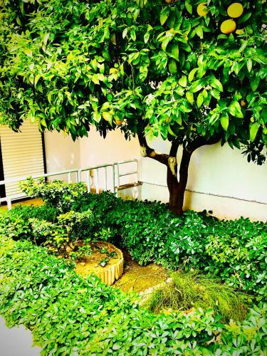 Kallipateira Apartments