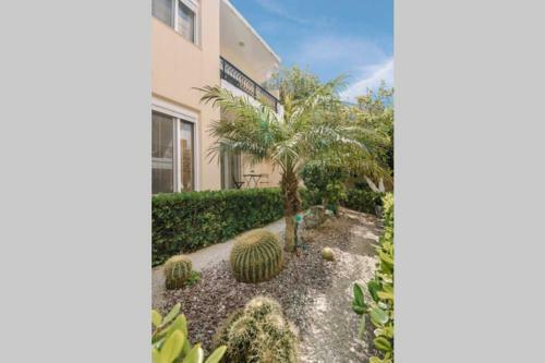 Apartamento Aloe, Cozy Apt Garden View, 5' Beach Away