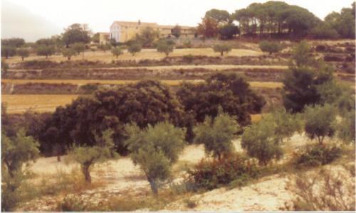 Casa Rural Mas�a Barbera