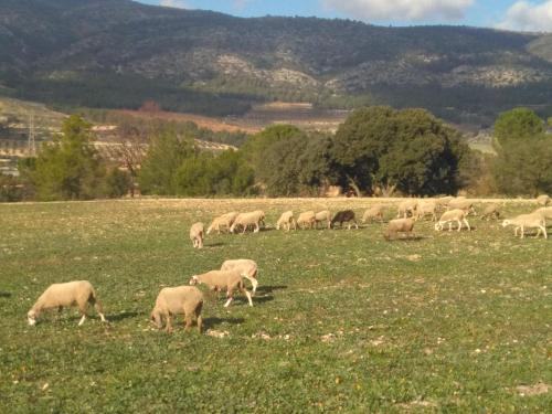 Casa Rural Mas�a Barbera