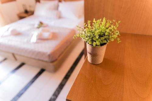 Apartamento Irene Suite Chania