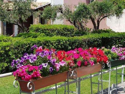 Sunny Apartment In Corfu With Terrace And Garden