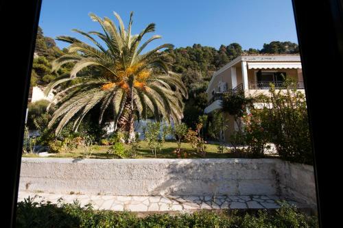 Afroditi