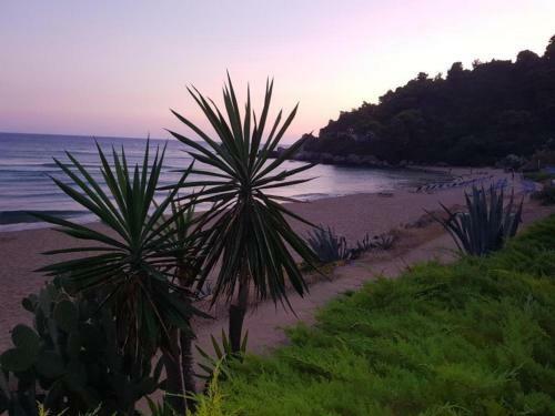 Corfu Glyfada Beachfront 52