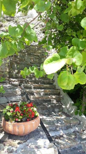 Uranous Blue Luxury Villa Agios Ioannis Papa Nero