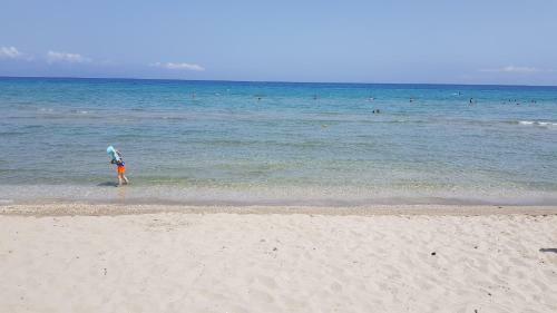 Alykes Mastora Seaside Apartments