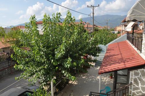 Hostal Villa Sofia