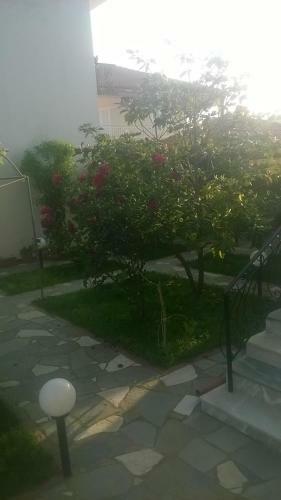 Hostal Villa Eleon 1