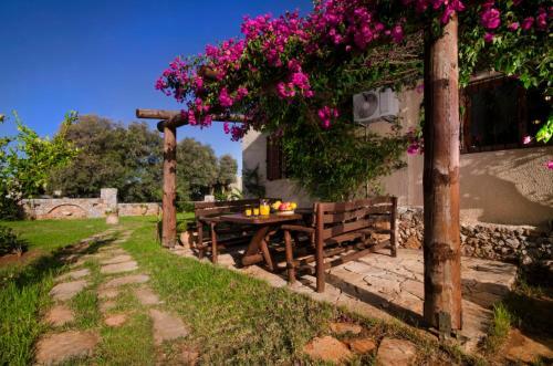 Villa Stavros Beachfront Homeleader