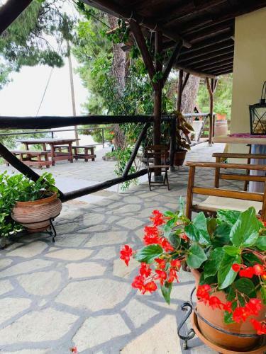 Grandmas Paradise Villa