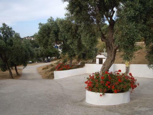 Apartamento Ourania Sea Breath