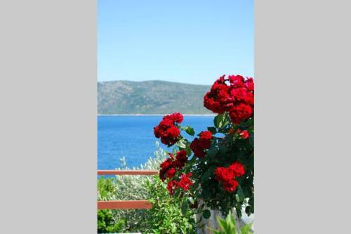 Vila Elena 2 Astoning View