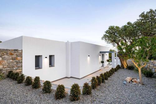 Villa Damaskina