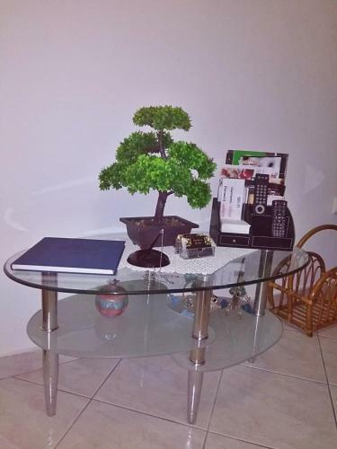 Apartamento Stella's Home