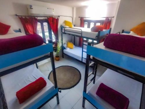 The Hostel Crown Udaipur