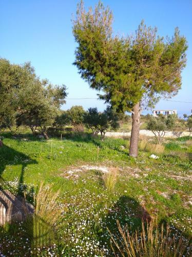 Apartamento Blue Cave Studios - White Cliff