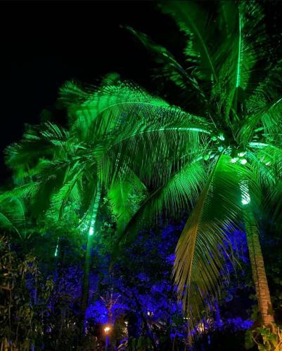 Hostal Prana Eco Villa