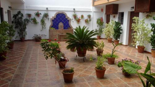 Hotel Posada Casas Viejas