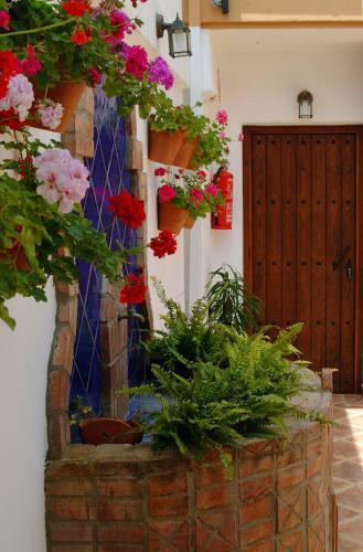 Hotel Posada Casas Viejas