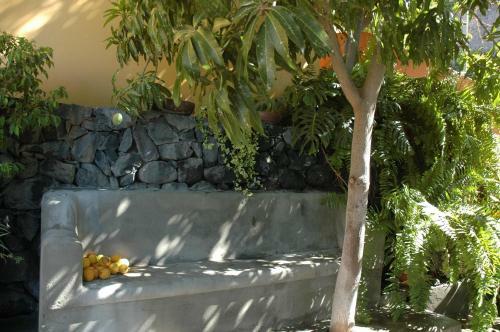 Hotel Jard�n Concha