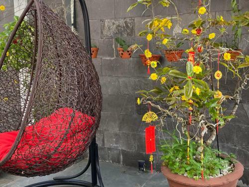 Ben Xo Hoi An Homestay