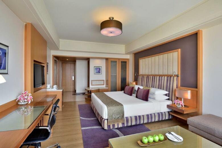 Radisson Blu Hotel, Indore